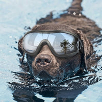 Load image into Gallery viewer, WagWorks Activewear Pet Googles - Allergy &amp; Hayfever Protection/ Small to Medium
