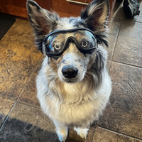 Load image into Gallery viewer, WagWorks Activewear Pet Googles - Allergy &amp; Hayfever Protection/ Small to Medium
