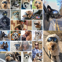 Load image into Gallery viewer, WagWorks Activewear Pet Googles - Allergy &amp; Hayfever Protection/ Small to Medium
