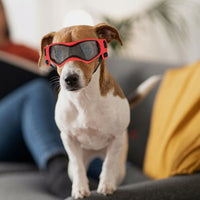 Load image into Gallery viewer, Zoomies Activewear Pet Goggles – Allergy &amp; Hayfever Protection for Dogs
