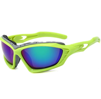 Load image into Gallery viewer, Luxury Hayfever Glasses
