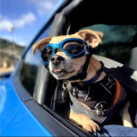 Load image into Gallery viewer, Zoomies Activewear Foldable Pet Googles
