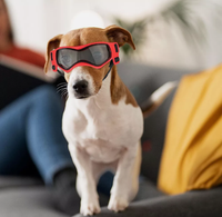 Load image into Gallery viewer, Zoomies Activewear Pet Googles

