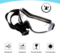 Load image into Gallery viewer, Fetch &amp; Co Activewear Pet Googles
