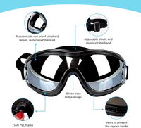 Load image into Gallery viewer, WagWorks Activewear Pet Googles

