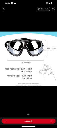 Load image into Gallery viewer, WagWorks Activewear Pet Googles
