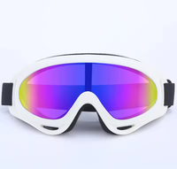 Load image into Gallery viewer, Fetch &amp; Co Activewear Pet Googles
