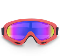 Load image into Gallery viewer, Fetch &amp; Co Activewear Pet Googles
