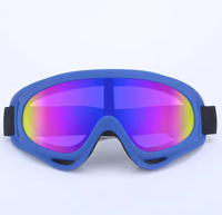 Load image into Gallery viewer, Fetch &amp; Co Activewear Pet Googles
