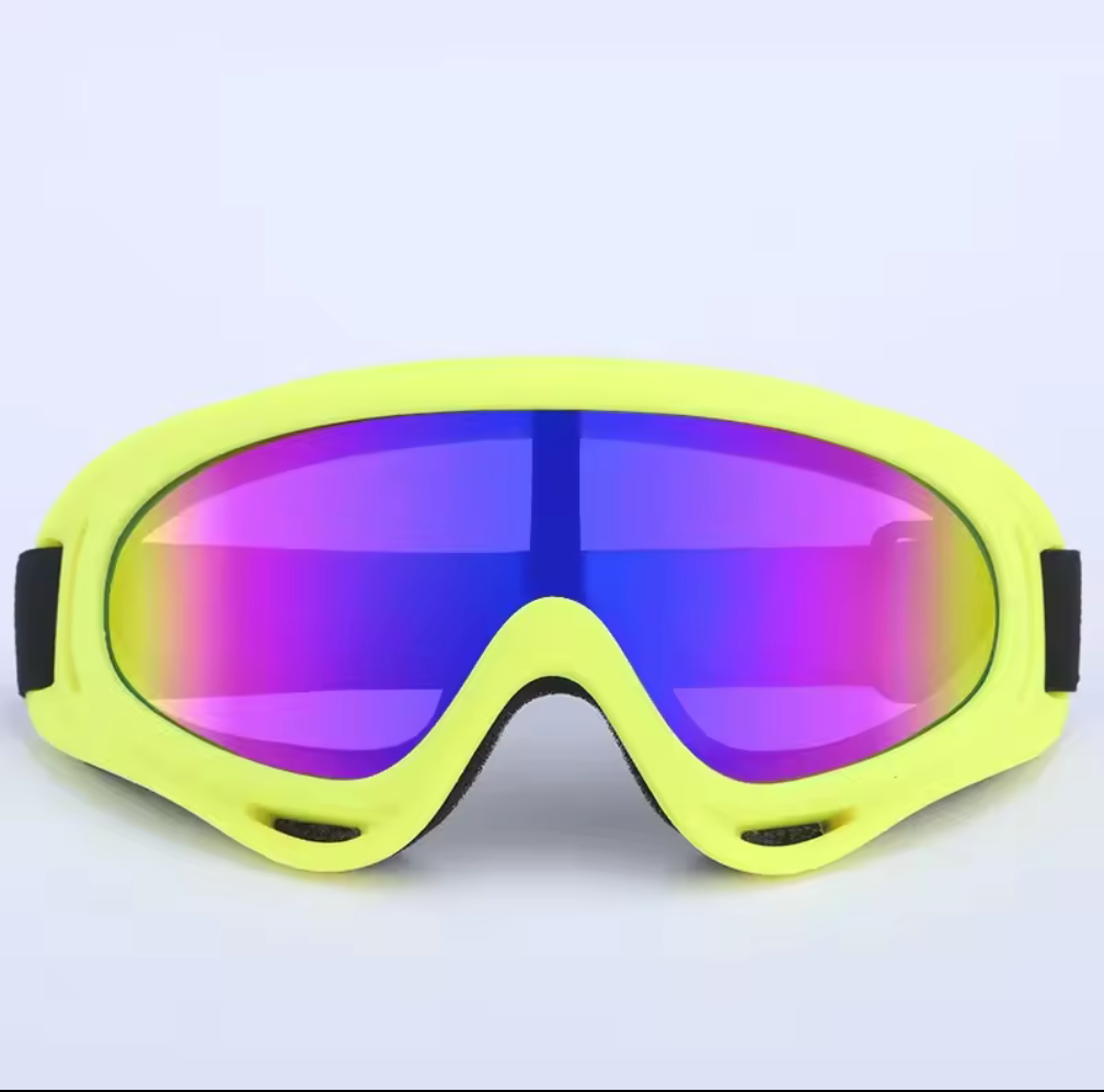 Fetch & Co Activewear Pet Googles