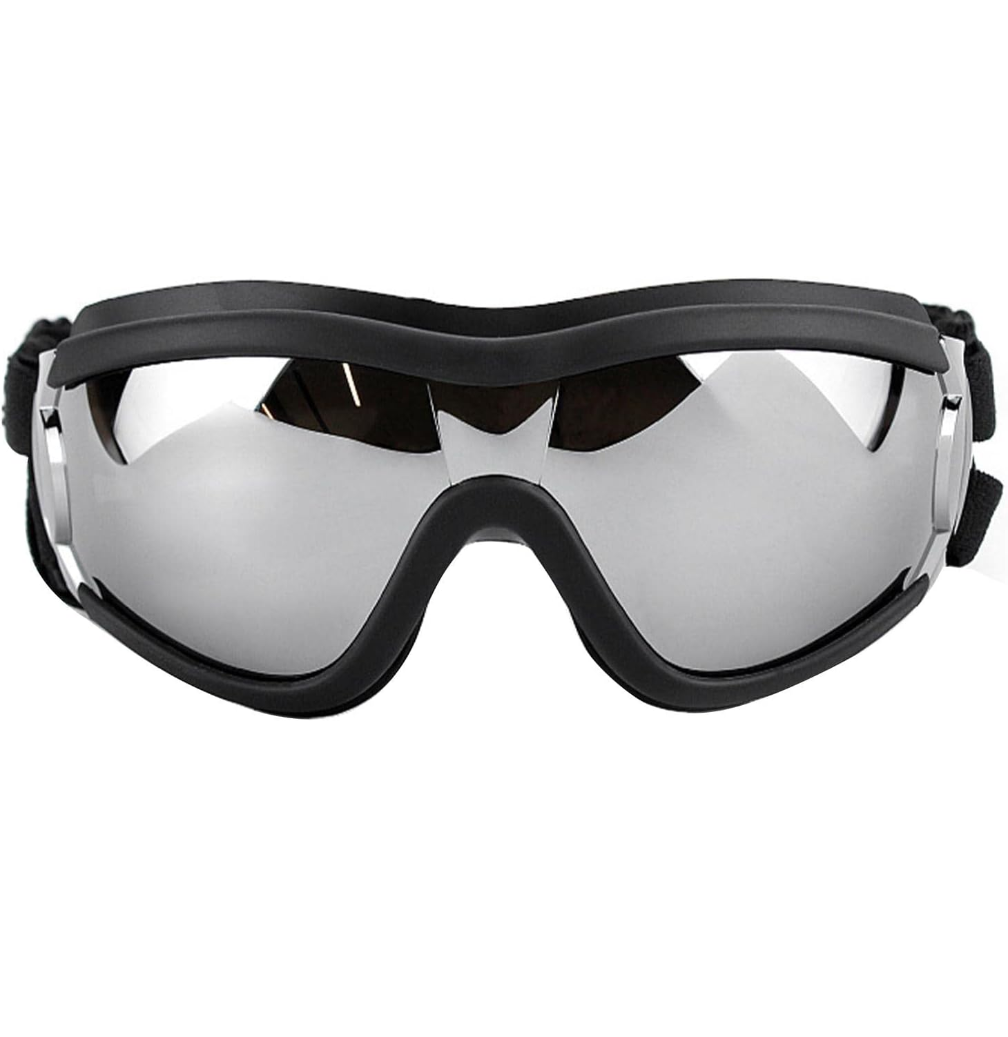 WagWorks Activewear Pet Googles
