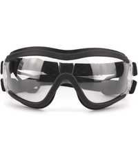 Load image into Gallery viewer, WagWorks Activewear Pet Googles
