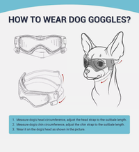 Load image into Gallery viewer, Zoomies Activewear Pet Goggles – Allergy &amp; Hayfever Protection for Dogs
